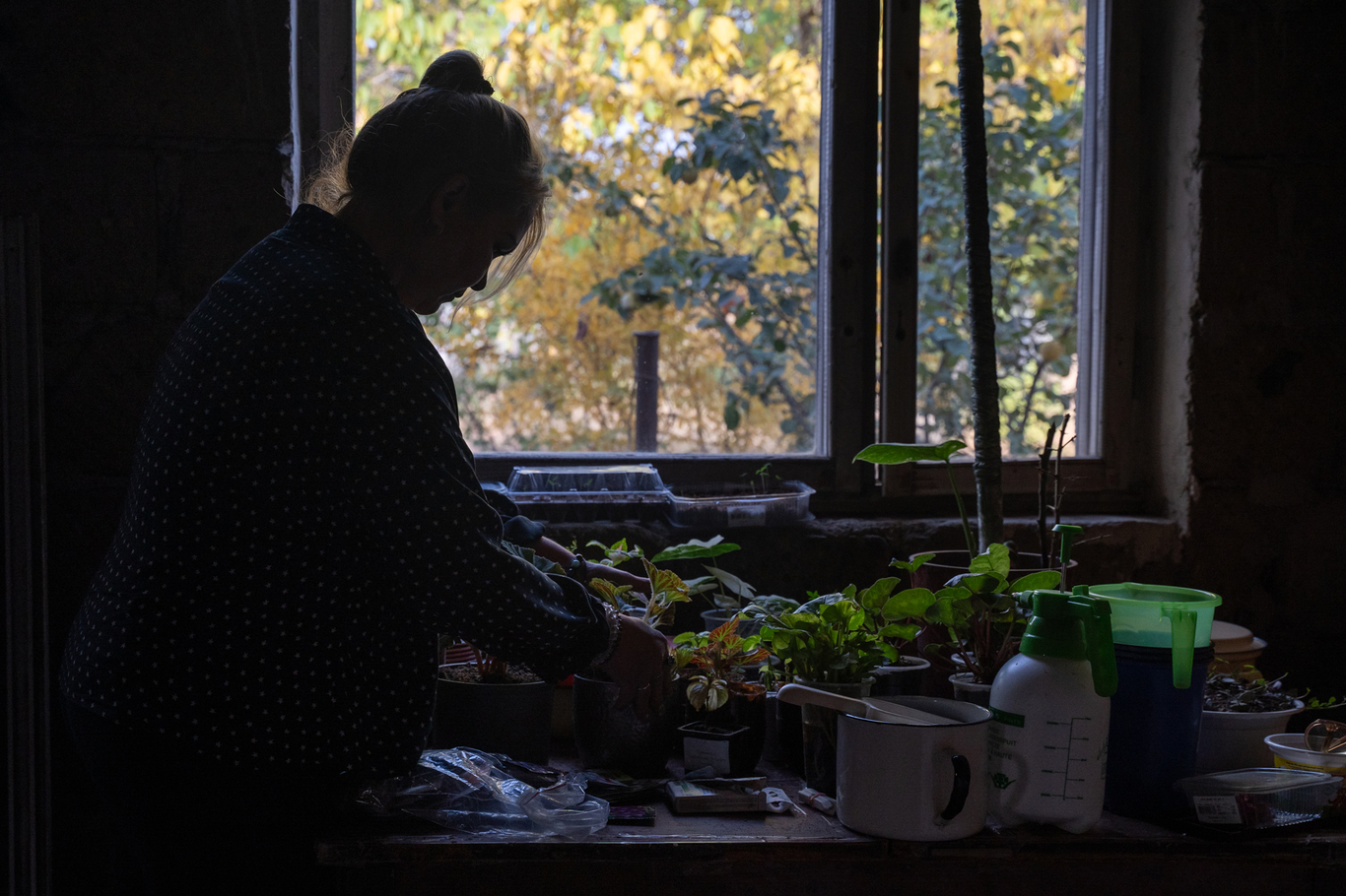 На новом месте Евгения вновь выращивает цветы. Фото: Василиса Останина