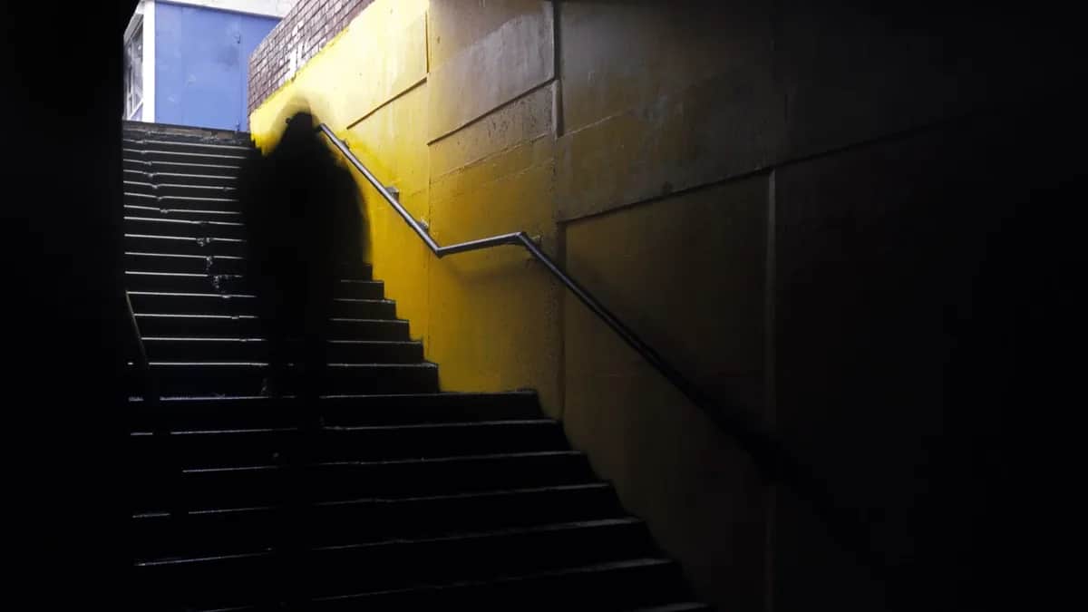 Фото: Evgeny Nelmin / Unsplash