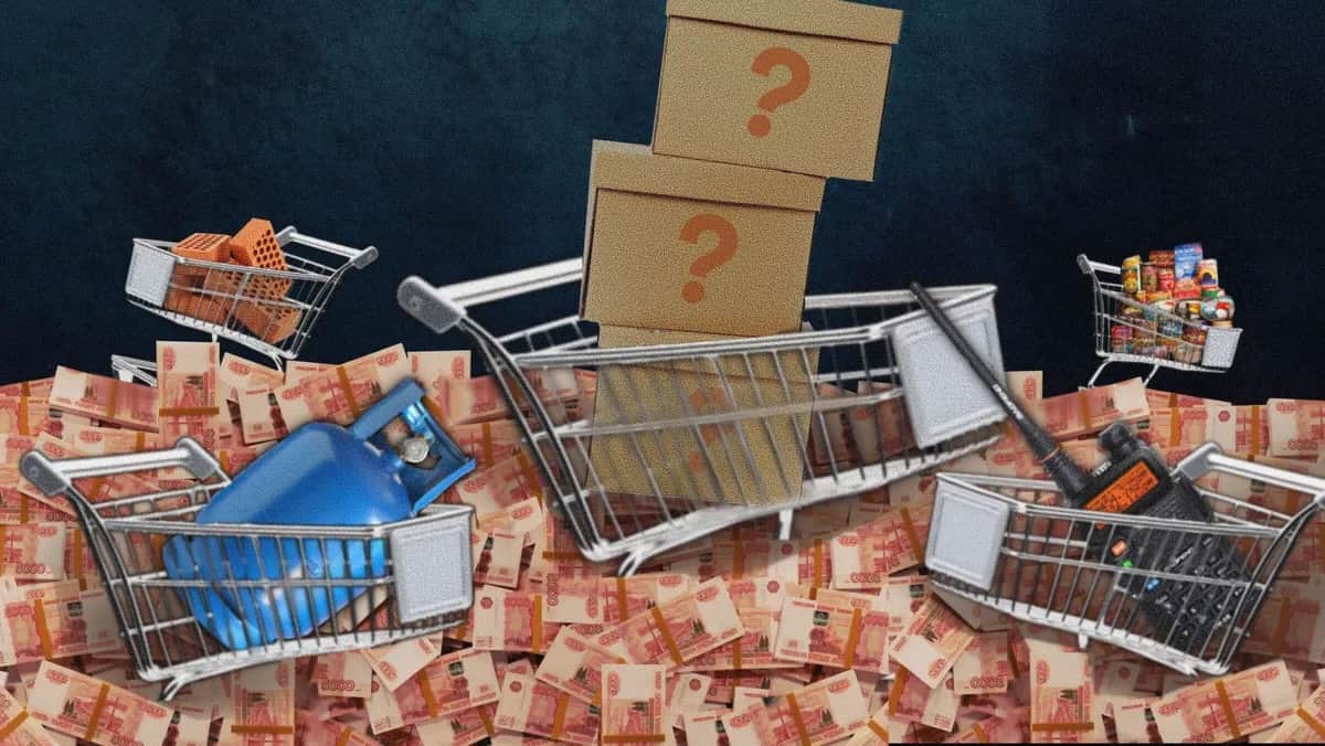 Иллюстрация: Анастасия Кшиштоф, специально для «Новой газеты Европа»