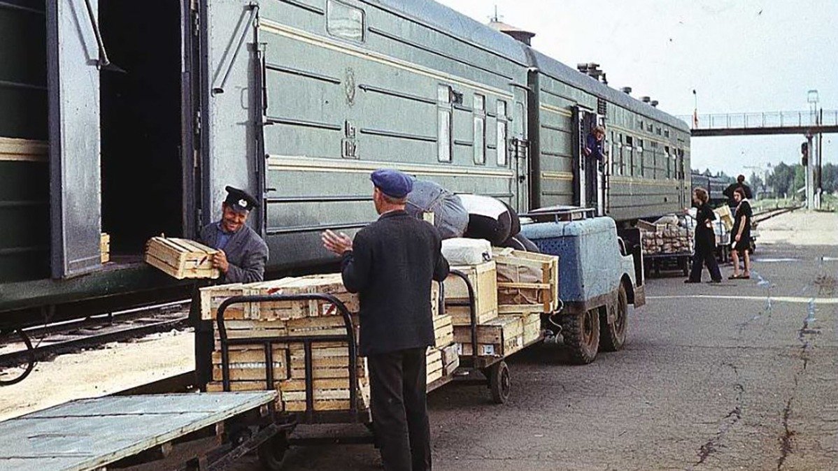 Книги в клетке с тиграми