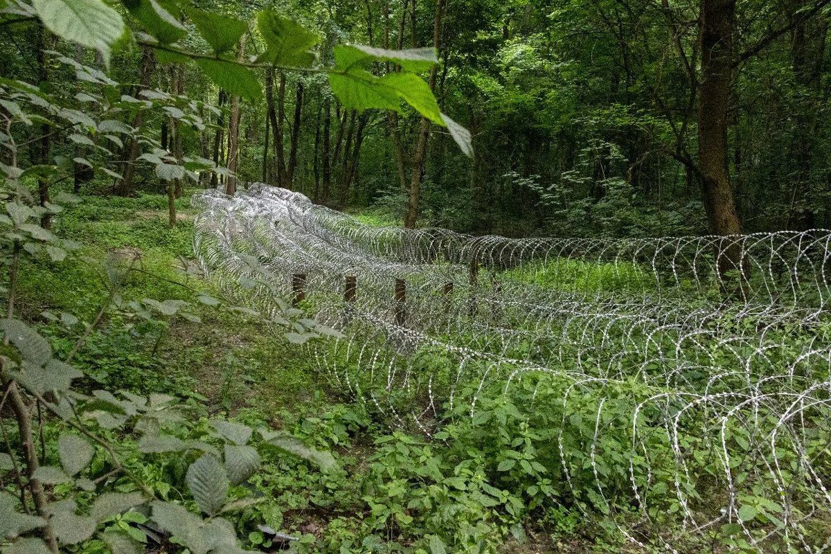 Barbed wire on the front line in the Sumy region, June 2025. Photo: AFU General Staff