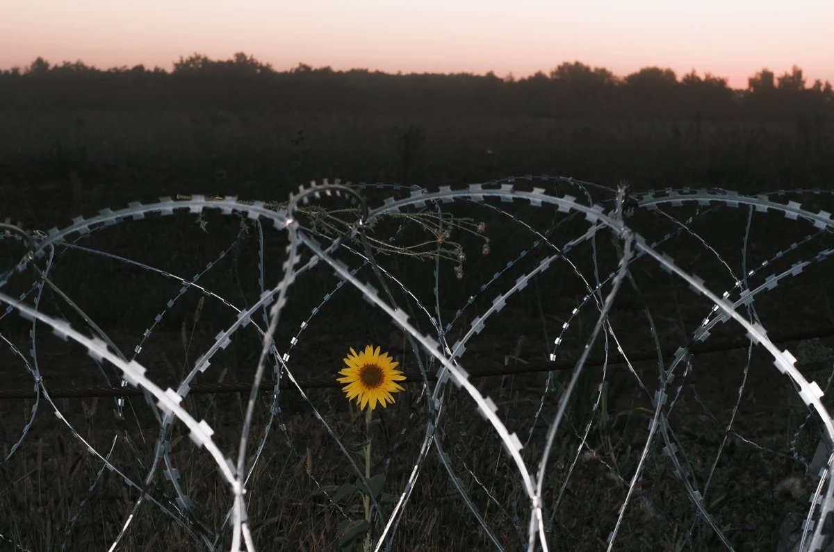 Fortifications in the Sumy region near the Russian border, 17 August 2024. Photo: George Ivanchenko / EPA